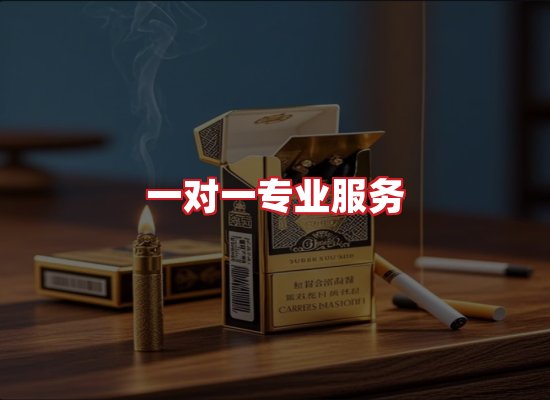 专业团队